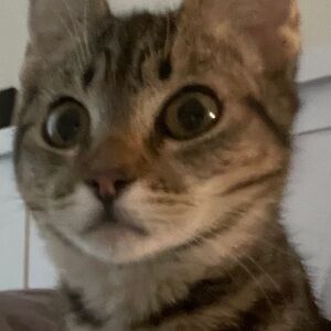 Meet your Posher, Pinkyminky